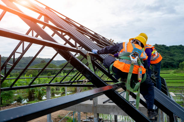 Best Roof Gutter Cleaning  in Virden, IL