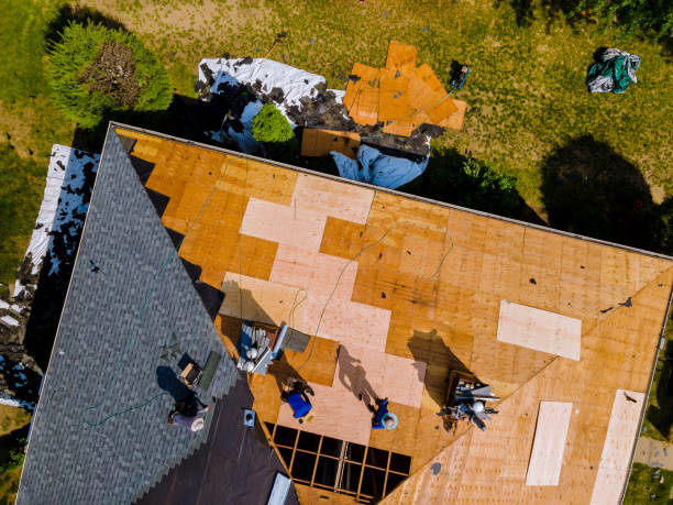 Best Storm Damage Roof Repair  in Virden, IL