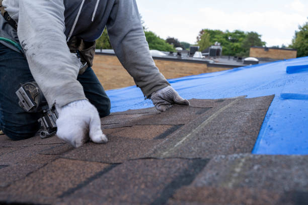 Best Shingle Roofing Installation  in Virden, IL