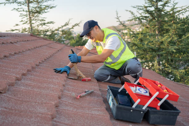 Best Roof Maintenance Services  in Virden, IL